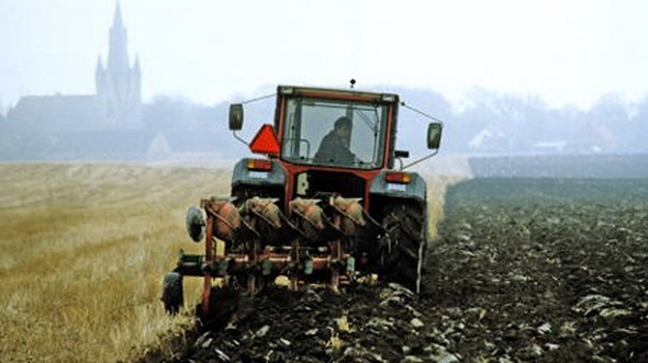 İSVEÇ’TE TARIM UYUM İÇİN BİR ÇÖZÜM OLABİLİR