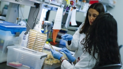 İSVEÇ’TE VAKA SAYISI 23 913 YÜKSELDİ