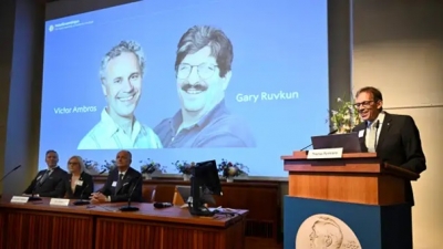NOBEL TIP ÖDÜLÜ’NÜ KAZANANLAR BELLİ OLDU