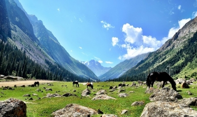 TALAS’IN PEŞİNDE